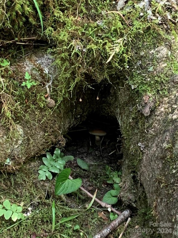 Property image 3 at 102 Blackberry Trail, Beech Mountain, NC 28604