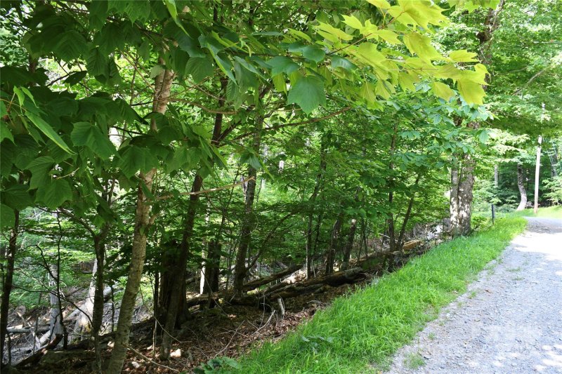 Property image 4 at 102 Blackberry Trail, Beech Mountain, NC 28604