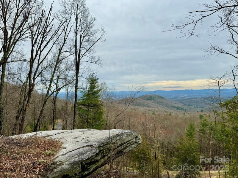 Property image 2 of 99999 New Sprout Lane in Sprout, Hendersonville, NC 28792