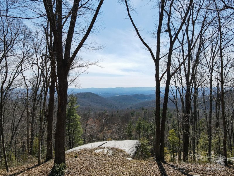 Property image 4 of 99999 New Sprout Lane in Sprout, Hendersonville, NC 28792