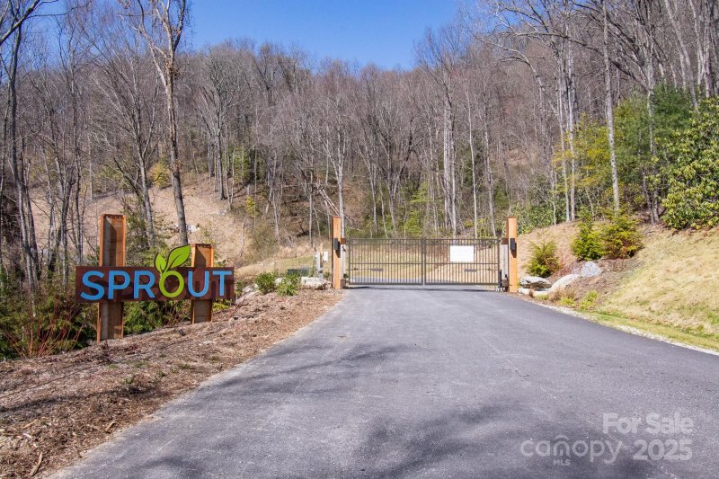 Property image 5 of 99999 New Sprout Lane in Sprout, Hendersonville, NC 28792