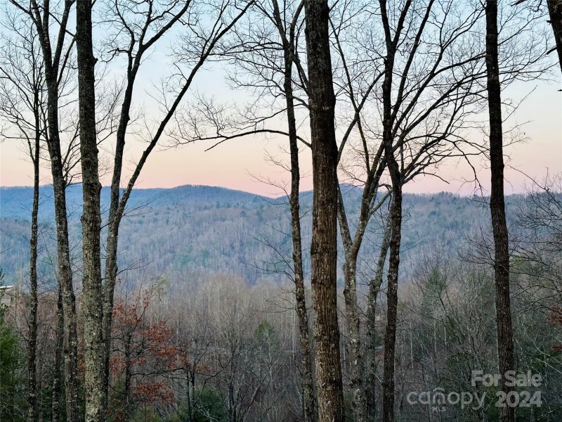 Property image 2 of 75 Raccoon Run in French Broad Crossing, Marshall, NC 28753