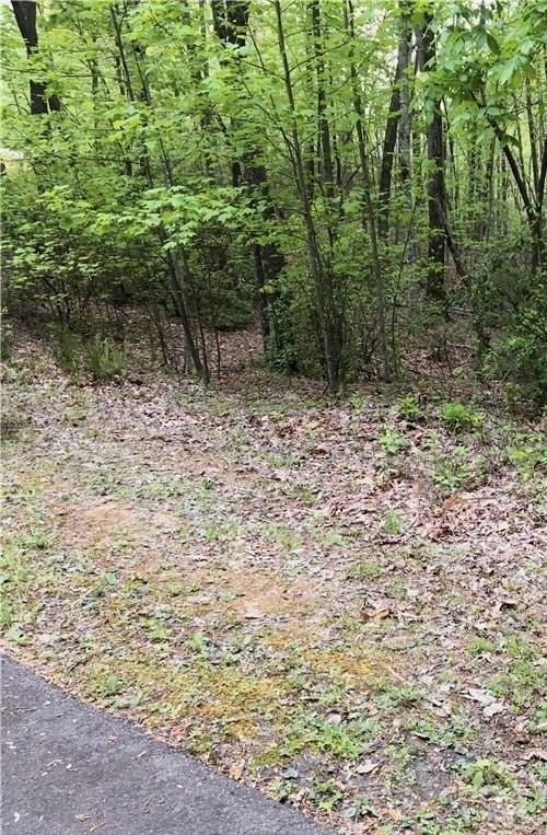 Property image 4 of 0 Lakewood Drive in Shumont Estates, Lake Lure, NC 28746