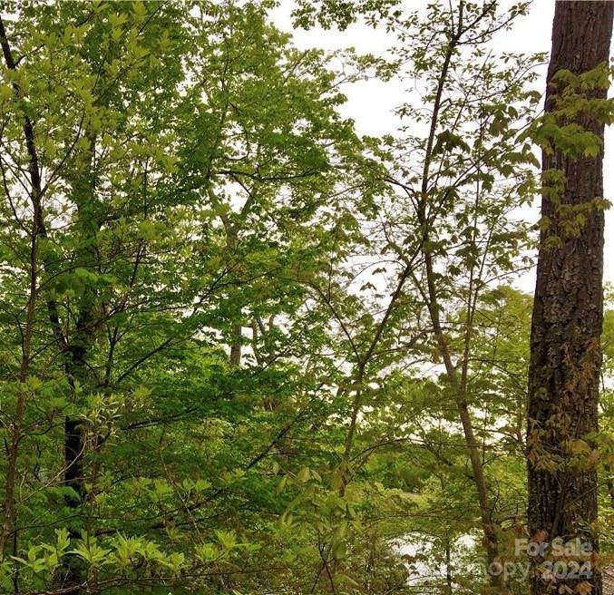 Property image 5 of 0 Lakewood Drive in Shumont Estates, Lake Lure, NC 28746