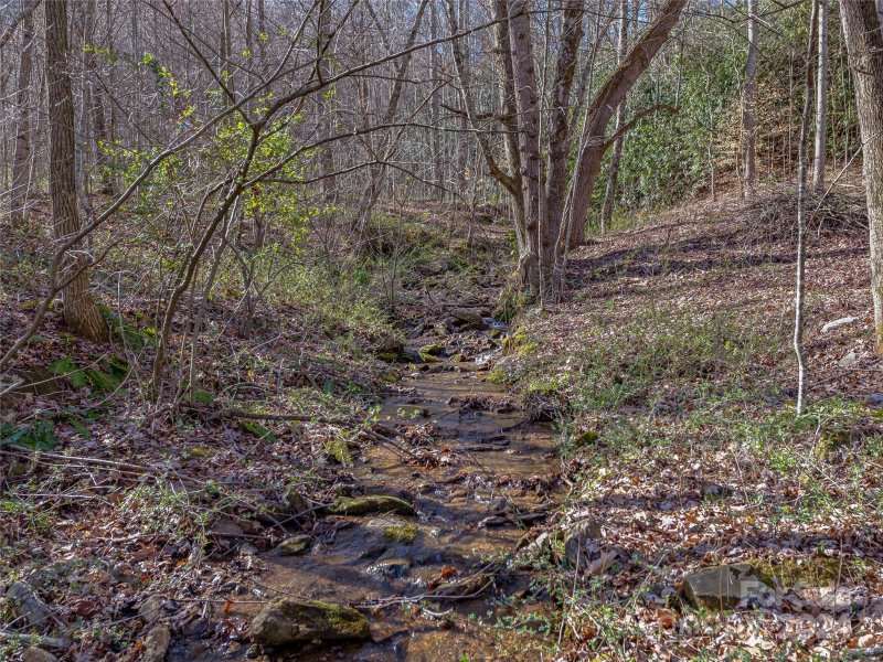 Property image 3 at 9999 Talking Rock Lane, Leicester, NC 28748