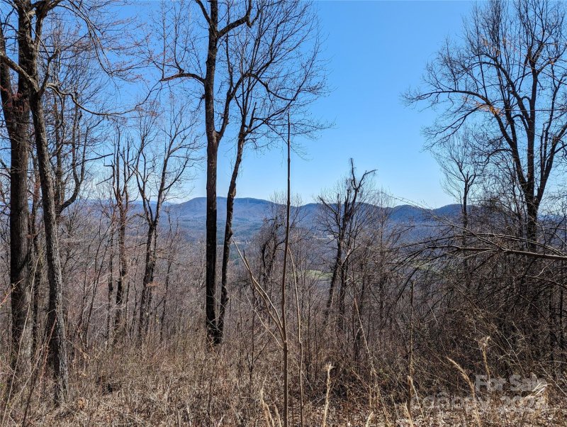 Property image 2 of 2687 Creston Drive in Creston, Black Mountain, NC 28711