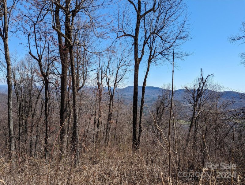 Property image 4 of 2687 Creston Drive in Creston, Black Mountain, NC 28711