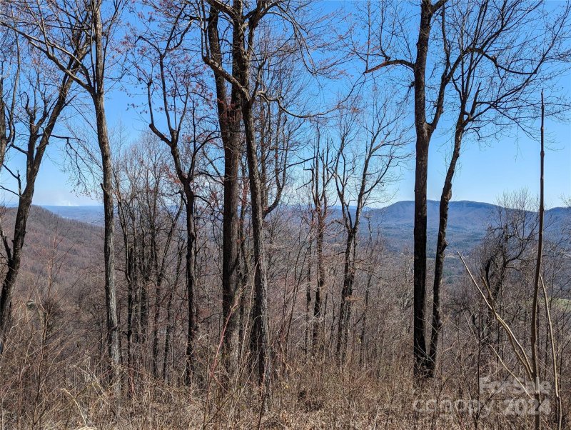 Property image 5 of 2687 Creston Drive in Creston, Black Mountain, NC 28711
