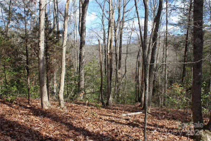 Property image 3 at 0 Sweetbriar Road, Lake Lure, NC 28746