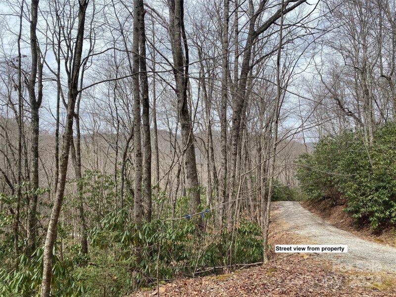 Property image 3 at Lot 2 Lake Ridge Lane, Topton, NC 28781