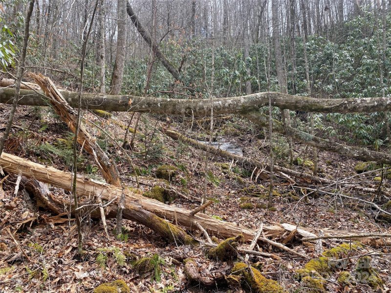 Property image 5 at Lot 2 Lake Ridge Lane, Topton, NC 28781