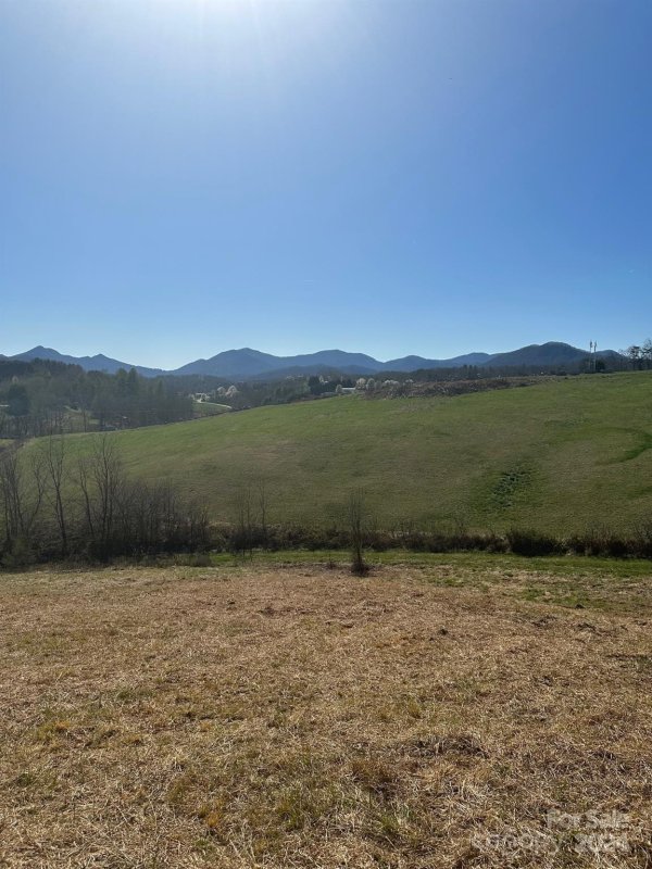 Property image 2 at 16 Lawson Ridge Road, Leicester, NC 28748