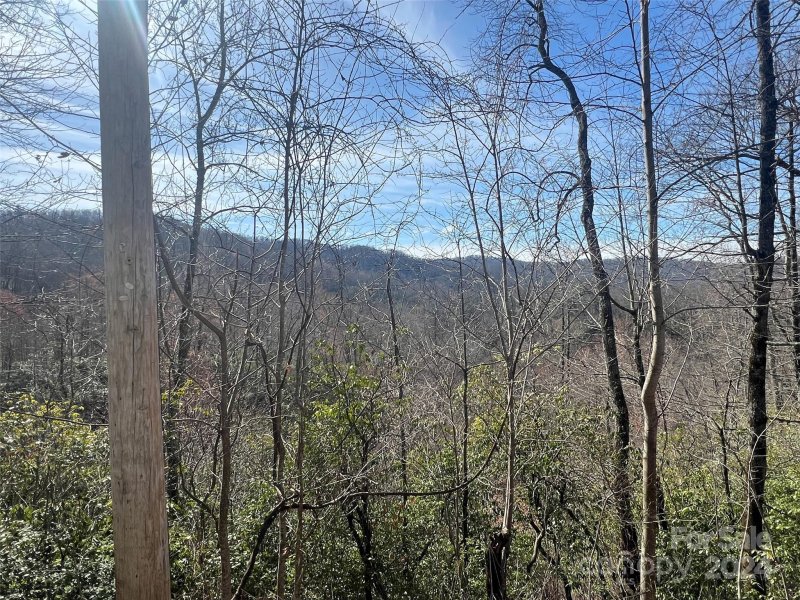 Property image 2 at 999 Ridge Road, Rosman, NC 28772