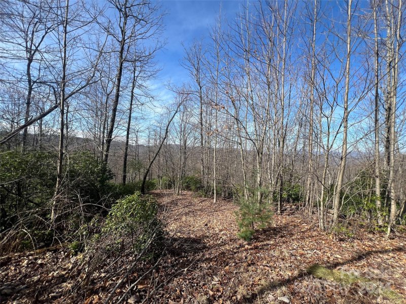 Property image 4 at 999 Ridge Road, Rosman, NC 28772