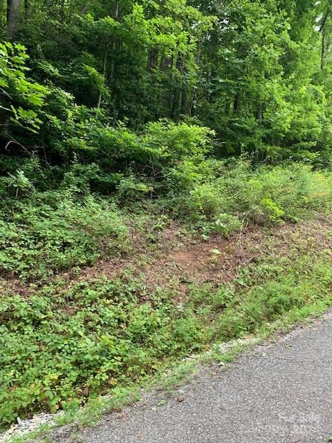 Property image 4 of Lot 45 46 Mckenzie Way in Gateway Mountain, Old Fort, NC 28762