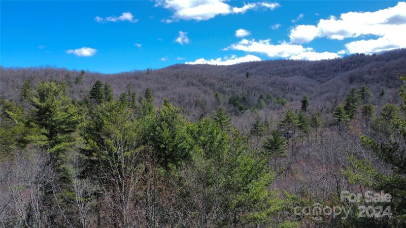 Property image 3 at 70 Erwin Hill Drive, Etowah, NC 28729