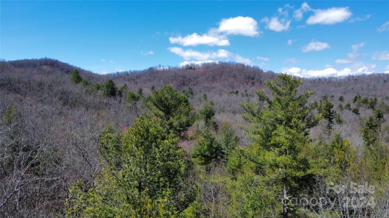 Property image 4 at 70 Erwin Hill Drive, Etowah, NC 28729