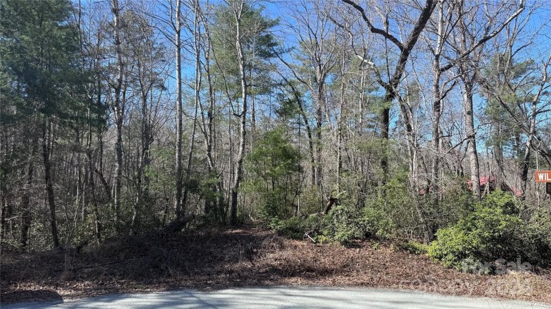 Property image 4 of 0 Redbird Drive in Riverbend at Lake Lure, Lake Lure, NC 28746