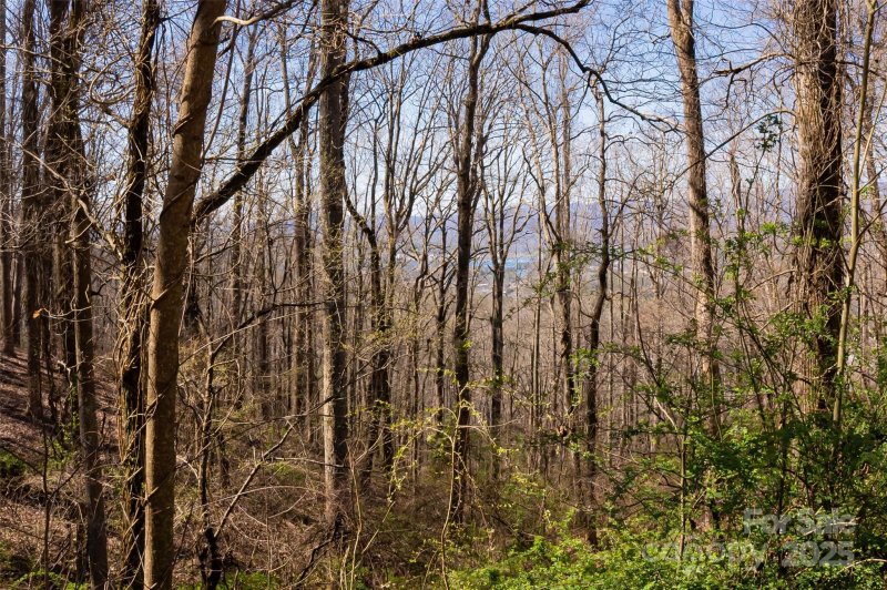 Property image 3 at 99999 Old Forest Drive, Asheville, NC 28803