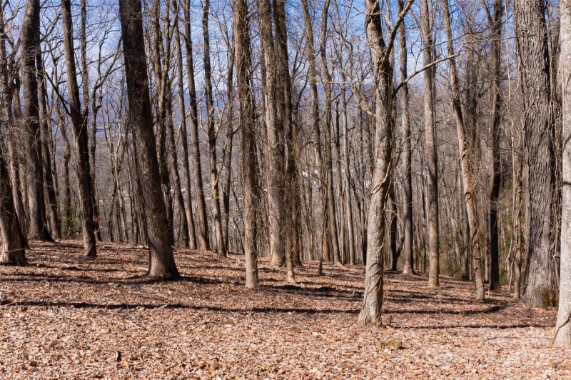 Property image 4 at 99999 Old Forest Drive, Asheville, NC 28803