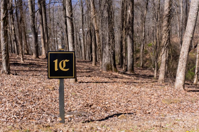 Property image 5 at 99999 Old Forest Drive, Asheville, NC 28803