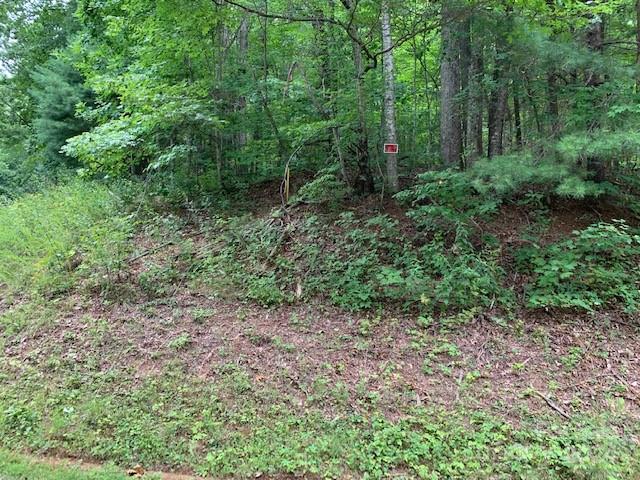 Property image 2 of Lot 49 50 Mckenzie Way in Gateway Mountain, Old Fort, NC 28762