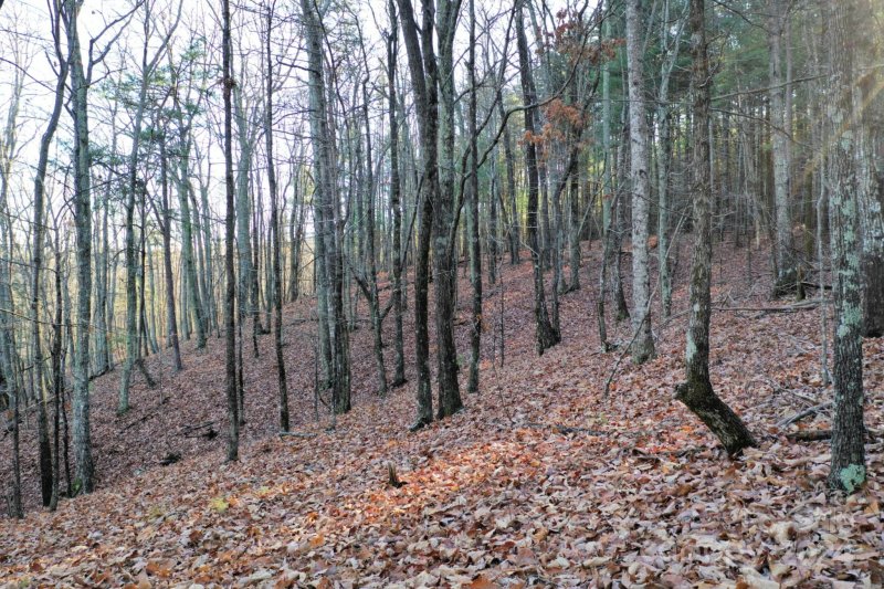 Property image 4 at 0 Fire Tower Road, Bostic, NC 28018