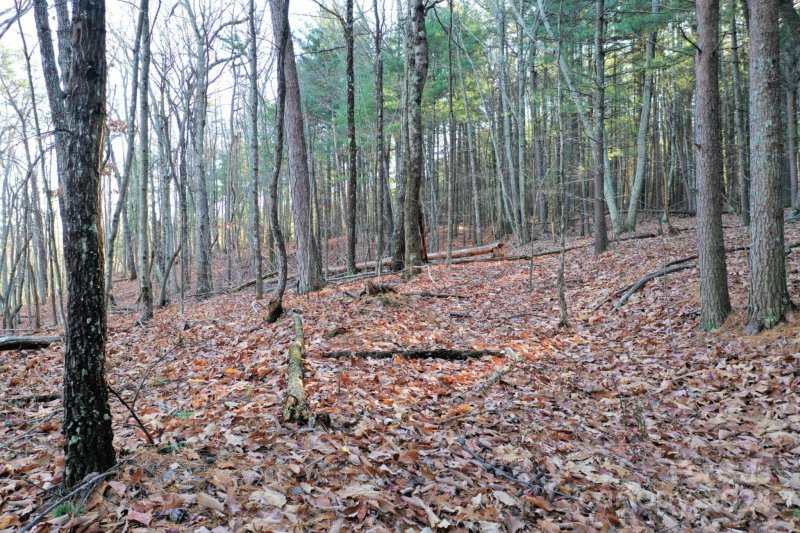 Property image 5 at 0 Fire Tower Road, Bostic, NC 28018