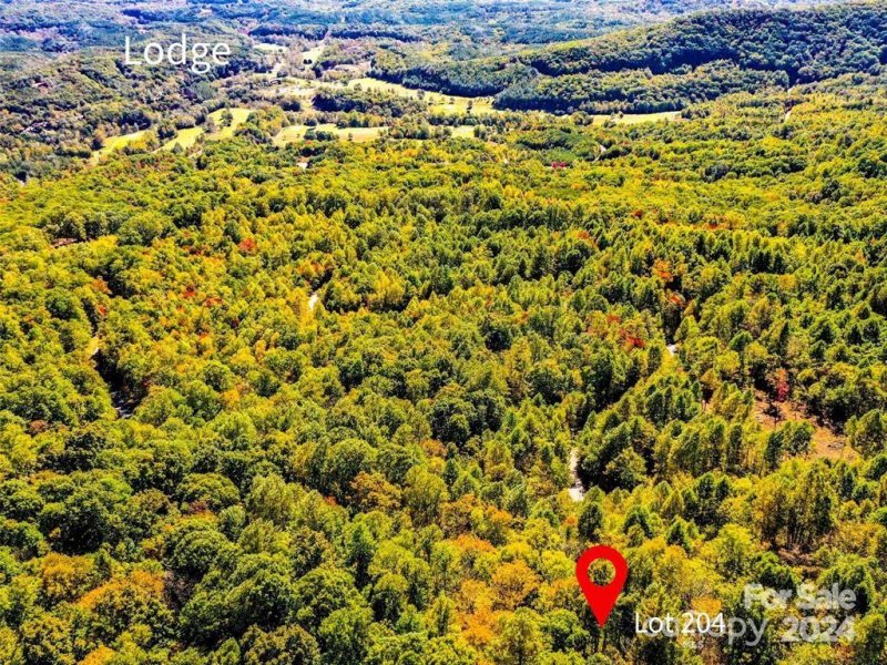 Property image 4 at 204 Wakefield Way, Mill Spring, NC 28756