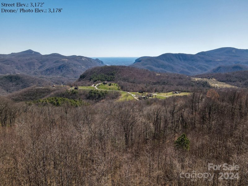 Property image 3 at 1233 Grand Oaks Drive, Hendersonville, NC 28792