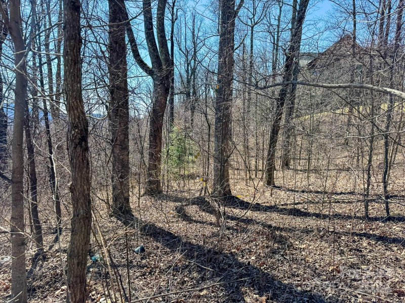 Property image 4 at 1233 Grand Oaks Drive, Hendersonville, NC 28792