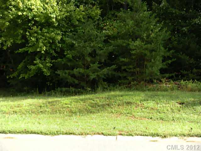Property image 4 at 0000 Wildwood Cove Drive, Mooresville, NC 28117