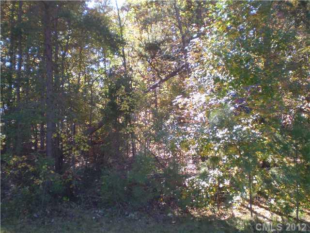 Property image 3 at Lot 1 Wrenn Drive, Denver, NC 28037