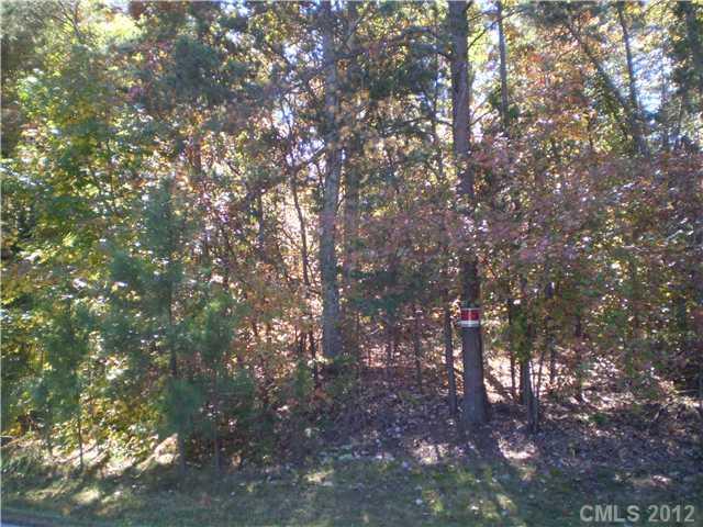 Property image 4 at Lot 1 Wrenn Drive, Denver, NC 28037