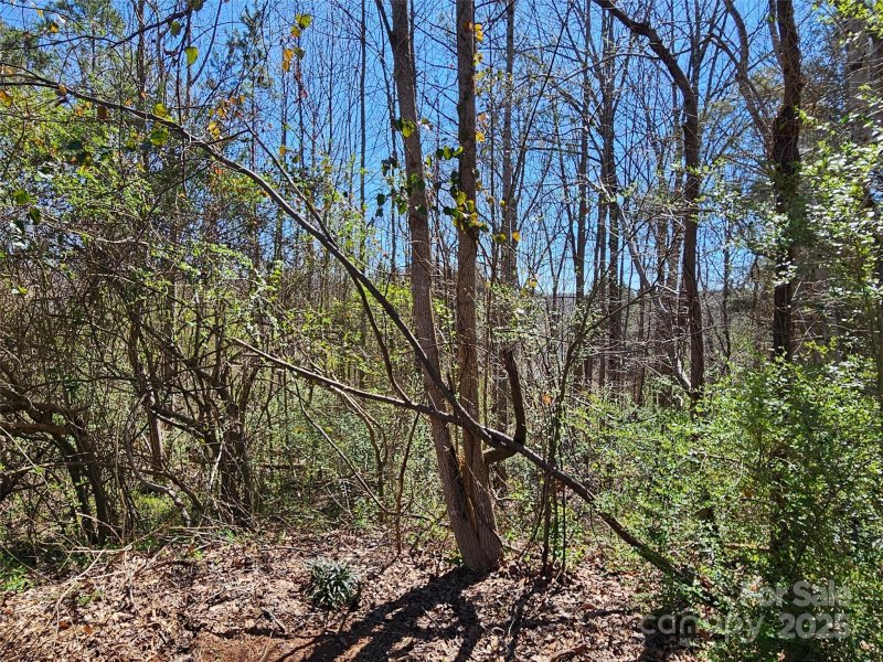 Property image 3 of 0 Gray Court in Rutherford Towne, Rutherfordton, NC 28139