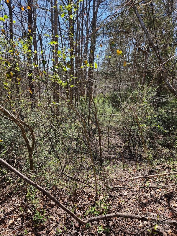 Property image 5 of 0 Gray Court in Rutherford Towne, Rutherfordton, NC 28139