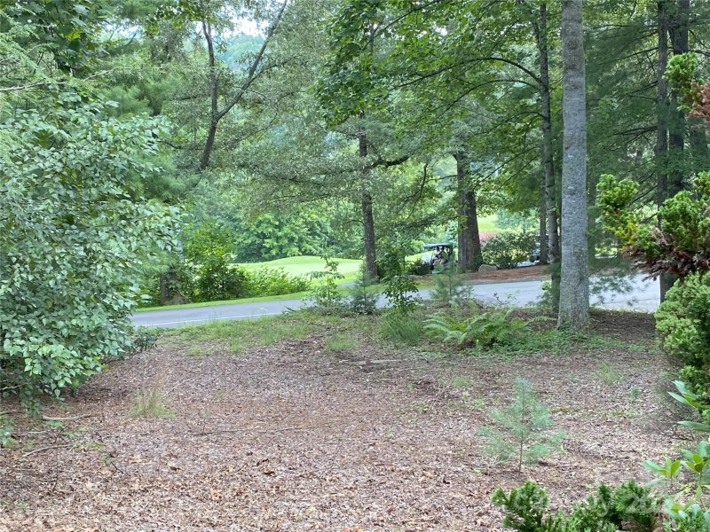 Property image 3 at 2010 Golfside Lane, Hendersonville, NC 28739