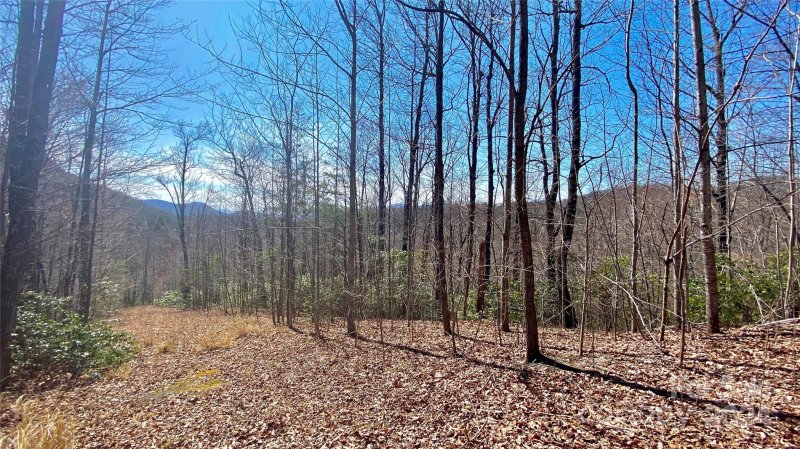 Property image 2 at 9999 Lake George Road, Old Fort, NC 28762