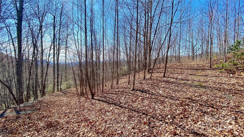 Property image 3 at 9999 Lake George Road, Old Fort, NC 28762