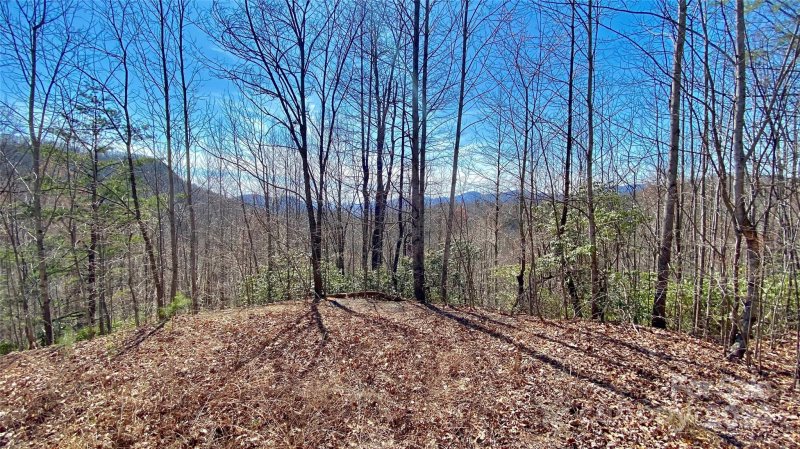 Property image 4 at 9999 Lake George Road, Old Fort, NC 28762