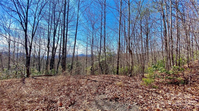 Property image 5 at 9999 Lake George Road, Old Fort, NC 28762