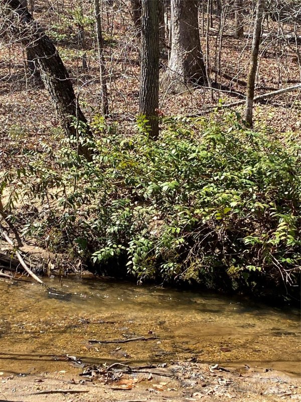 Property image 2 at Lot 23 Double Eagle Drive, Nebo, NC 28761