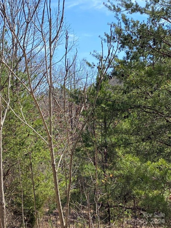 Property image 3 at Lot 23 Double Eagle Drive, Nebo, NC 28761
