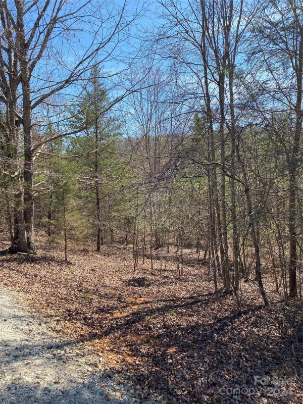 Property image 5 at Lot 23 Double Eagle Drive, Nebo, NC 28761