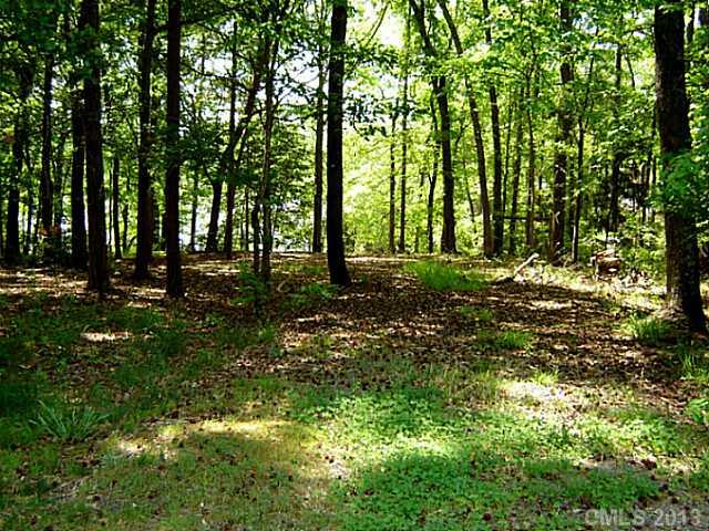Property image 4 at 5200 Mallard Lane, York, SC 29745