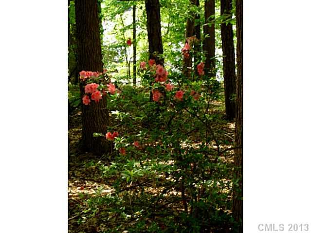 Property image 5 at 5200 Mallard Lane, York, SC 29745
