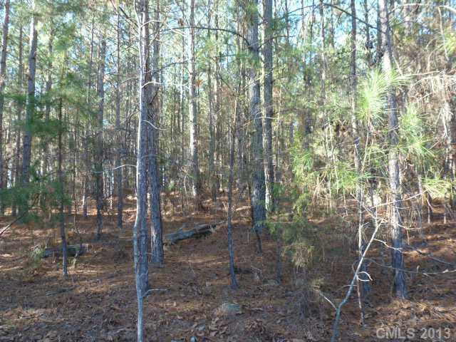 Property image 4 at Lot 25 Tributary Drive, Fort Lawn, SC 29714