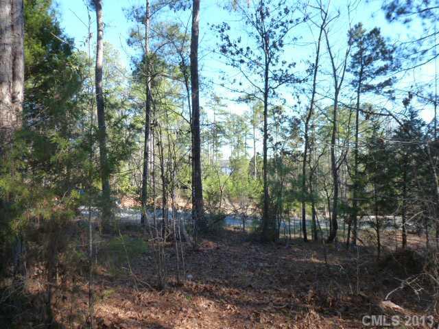 Property image 5 at Lot 25 Tributary Drive, Fort Lawn, SC 29714