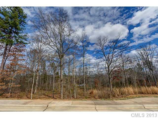 Property image 5 at Lot 25 Victoria Lake Drive, Waxhaw, NC 28173
