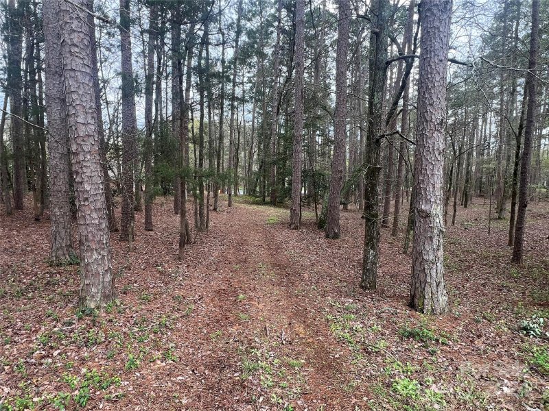 Property image 2 of 123 Coggins Mine None in Uwharrie Point, New London, NC 28127